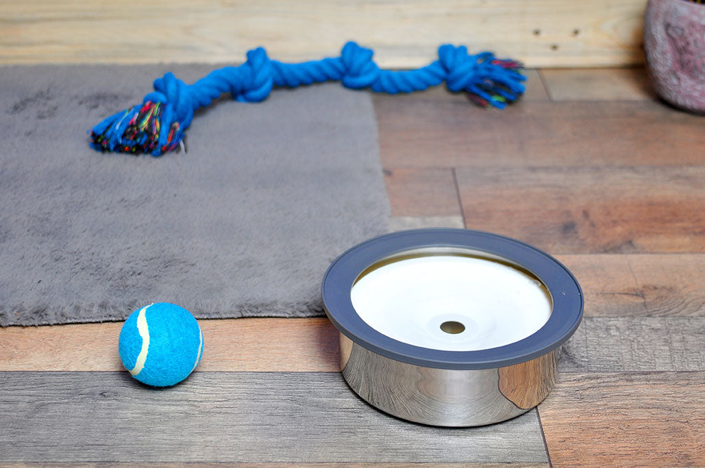 gamelle pour chien